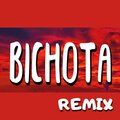 Dj fuego - Bichota - Remix