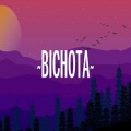 Dj fuego - Bichota Remix