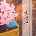 云殇 - 因为在乎所以看重