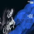 那片天 (Live at Blue Note Beijing)