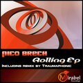 Nico Brech - Rebound (Traumaphonic Remix)