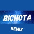 Dj fuego - Bichota Remix