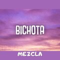 Dj fuego - Bichota Remix