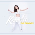 Kamelia、Sam、DJ Asher、Voxlight、Screen - U Can Do It