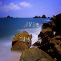 MC少晋 - 南方姑娘