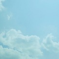 FLOWER FLOWER - 夏