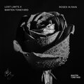 Lost Limits、Marten Toneyard - Roses In Rain (Radio Mix)
