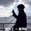 苏天伦 - 火车摇 (DJ版)