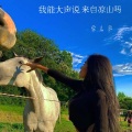 我能大声说来自凉山吗