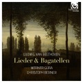 Christoph Berner、Werner Güra - An die Hoffnung, Op. 94