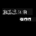 张道道 - 还有几分像从前