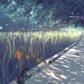牛燕 - 流星花园