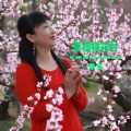 幸福桂花村(中四舞曲)