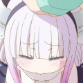 苦尽甘来Music、圈妹、小可、小奶瓶 - 热门DD旋律