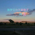 我梦见你不要我了