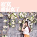 心琪baby - 下辈子第一个遇见你