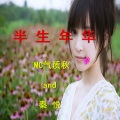 半生年华
