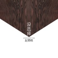 赵昊枫 - 没选择 (新版)