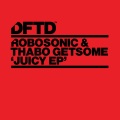 Robosonic - Busted