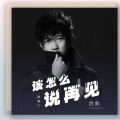 胜屿 - 该怎么说再见