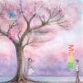 MC浩晨 - 礼物公仔