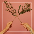 Goddess - Chimes