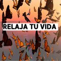 Alejandro relaxing - sounds relaxing