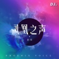 凤凰之声DJ