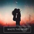 Justin 3 - Waste This Night