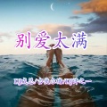 别爱太满 (Remix)