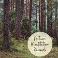 Music to Relax in Free Time - Tibetan Night