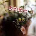 鑫弟 - 我好想你