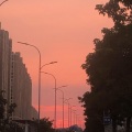 Alex、胖虎超爱吃 - 认真地老去