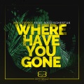 Max Zierke、Nico Schestak - Where Have You Gone (DJ Jazzy James Tropic Extended Mix)