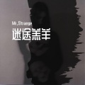 Mr,Strange - 迷途羔羊