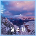 阿D - 笛