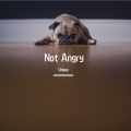Unique - Not Angry