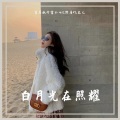 首席执行官小七、野马V、龙儿 - Butterfly