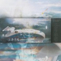 浮世众生(《二哈和他的白猫师尊》广播剧推广曲(纯歌版))