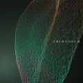 In Anima - Xxy
