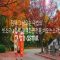 ASMR - 잠이 그냥오는 마법의 빗소리 5분후 블랙화면전환, 비오는소리, 힐링 Asmr