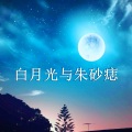 白月光与朱砂痣 (咚鼓版)(DJ鹏哥、DJ搬运工、DJ大籽版)