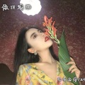 电音老傅、逐鹿 - 亡灵骑士 (DJ版)