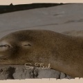 So Tired