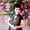 伊人家乡 - 黄    桷    树