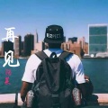 阿莱 - 再见