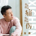 你是我的痛也是我的伤