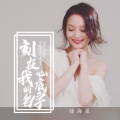 徐海星 - 刻在我心底的名字