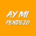 DJ Jam - Ay Mi Pendejo
