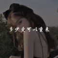苏静Music - Sakitnya Tuh Disini (DJ版)